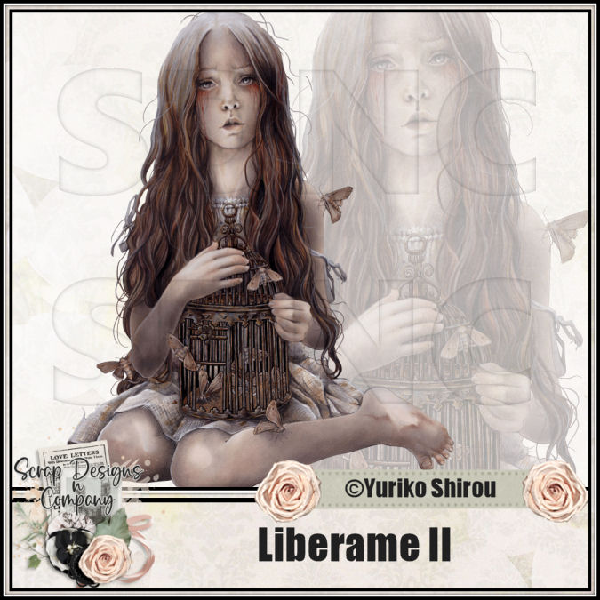 (image for) Liberame II